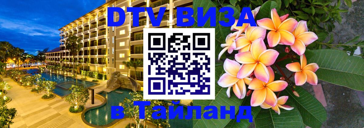 Оформление DTV визы под ключ: стоимость и тарифы, только загранпаспорт - 